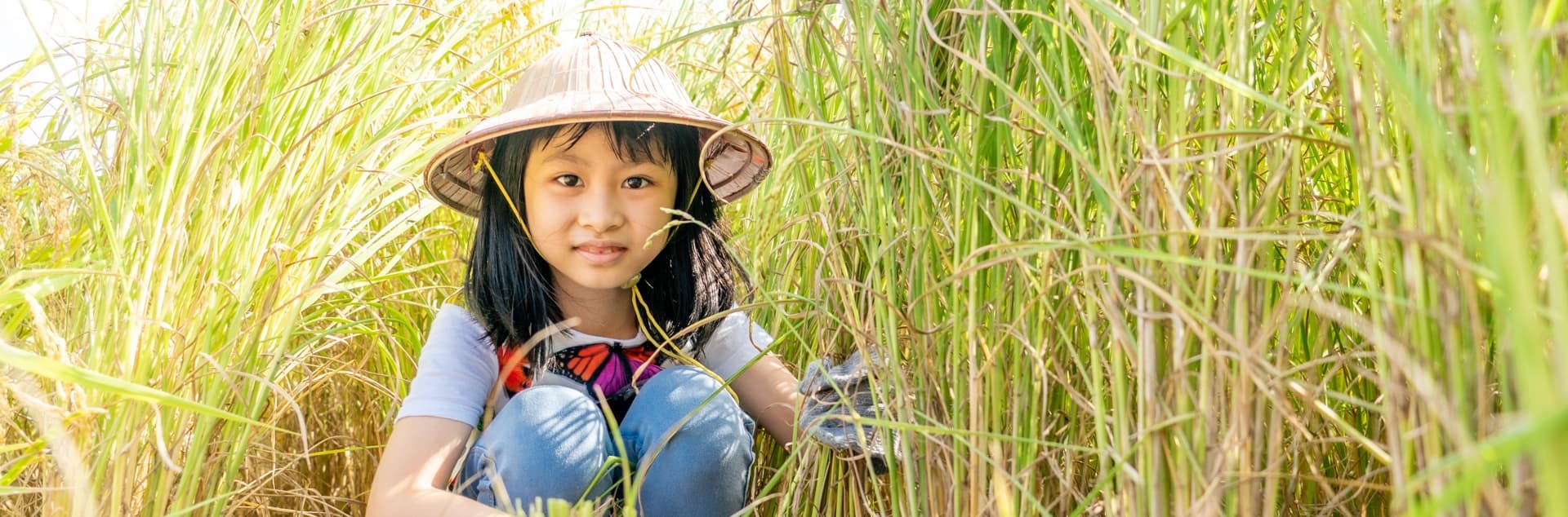 rice-article1-banner