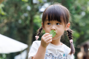 Taman Putri Anne(安妮公主花園)