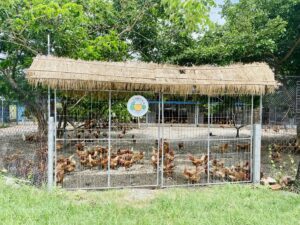 Rumah Petani Buah(果農之家)