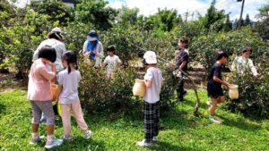 Peternakan Daun Kecil(小葉子農園)