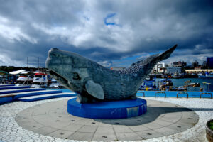 Whale World(鯨世界賞鯨)