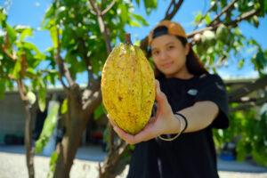 Cocoyami Chocolate Estate(可可雅米巧克力莊園)