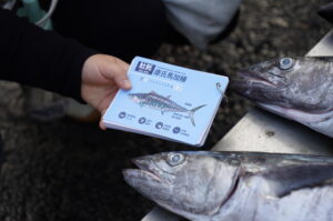 Fish Every Year(年年有鰆)