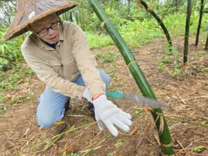 Farm Edukasi Ekologi Er-Qi(二崎生態)