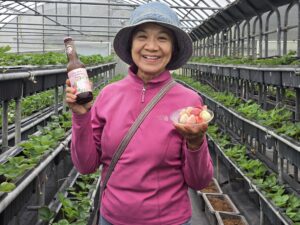 Kebun Organik Baishi Senhuo(白石森活有機農場)