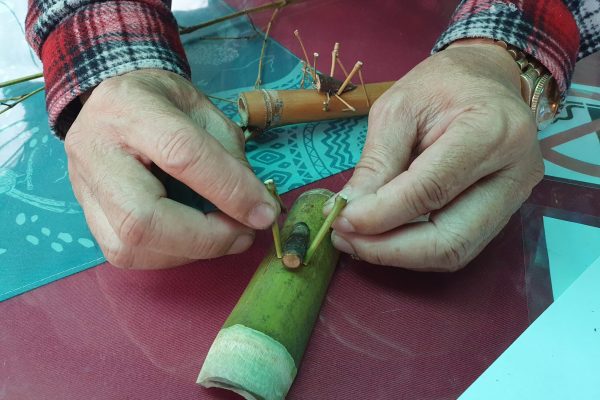 利用桂竹、樹枝製作蚱蜢。